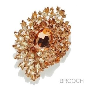 Elegant Champagne Gold Brooch